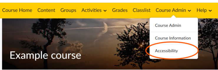Screenshot that shows a dropdown menu 'course admin' with the third option being 'Accessibility'. That one is circled. 